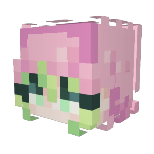 Dr_LH Minecraft avatar head, 3D render