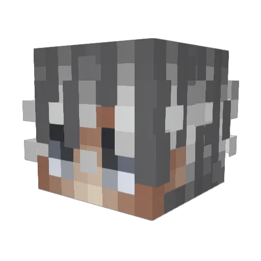 Dr_LizardMachine Minecraft avatar head, 3D render