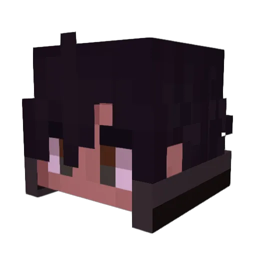 Dr_MadHatter Minecraft avatar head, 3D render