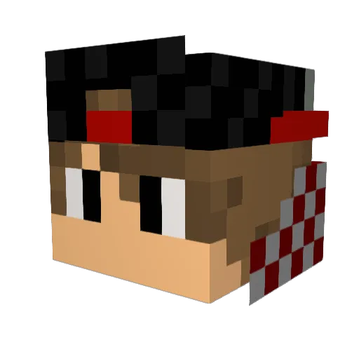 Dr_Nester Minecraft avatar head, 3D render