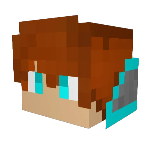 Dr_No_Problem Minecraft avatar head, 3D render
