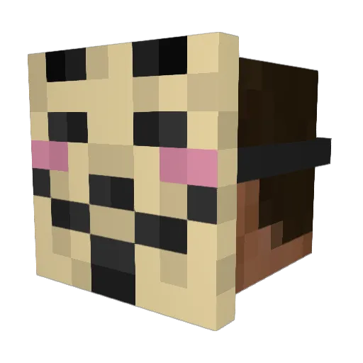 Dr_Octangonapus Minecraft avatar head, 3D render