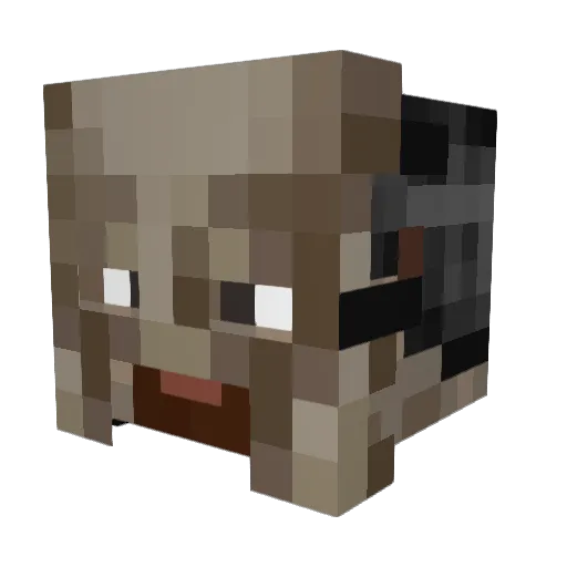 Dr_Olirus Minecraft avatar head, 3D render
