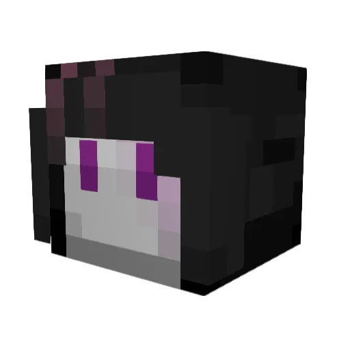 Dr_OrangeFox_ Minecraft avatar head, 3D render