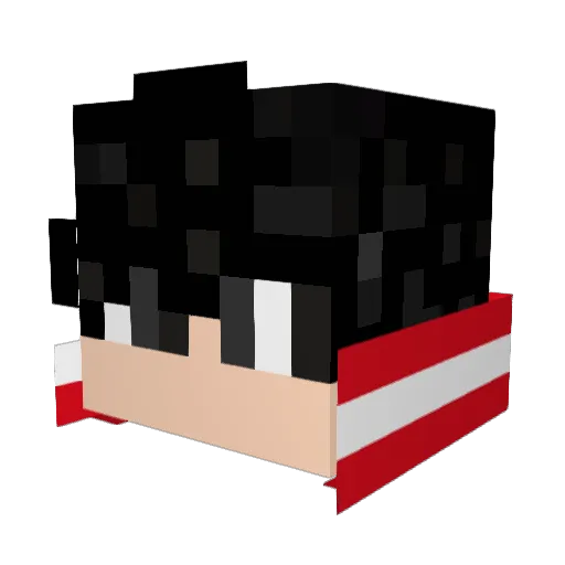 Dr_PaidPhysical Minecraft avatar head, 3D render