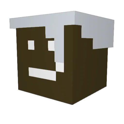 Dr_Pee Minecraft avatar head, 3D render
