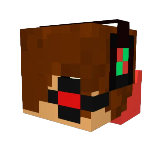 Dr_Phil_is_Daddy Minecraft avatar head, 3D render