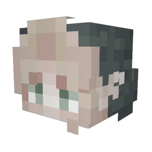 Dr_Picy Minecraft avatar head, 3D render