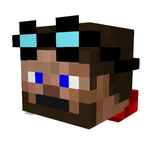 Dr_Roadrunner Minecraft avatar head, 3D render