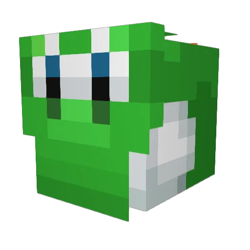 Dr_Salt_ Minecraft avatar head, 3D render