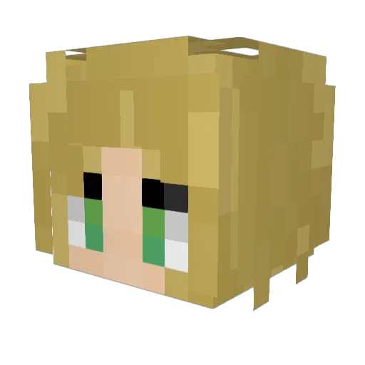 Dr_Slendy Minecraft avatar head, 3D render