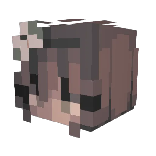 Dr_Sprayin Minecraft avatar head, 3D render