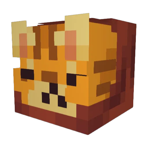 Dr_Stray Minecraft avatar head, 3D render