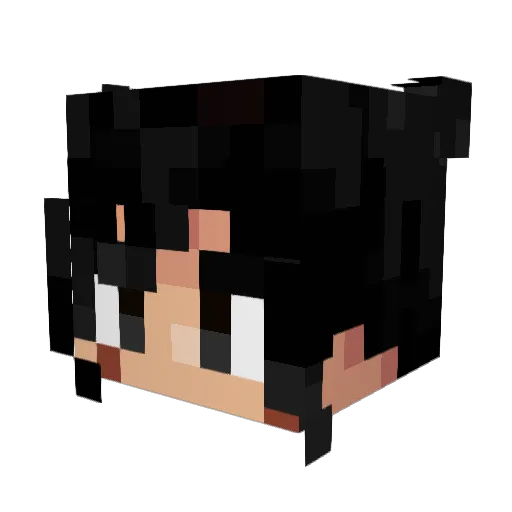 Dr_Sunman Minecraft avatar head, 3D render