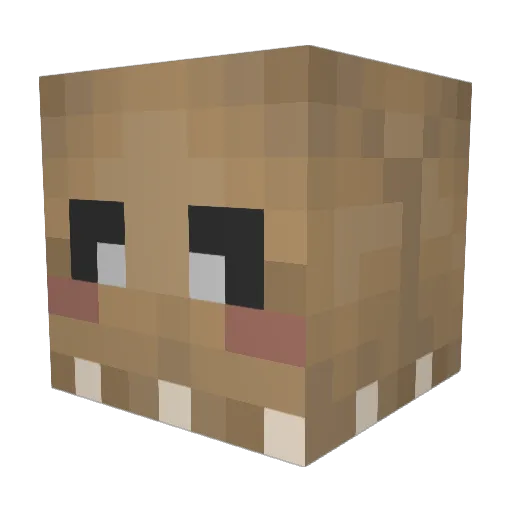 Dr_Sunshine_ Minecraft avatar head, 3D render