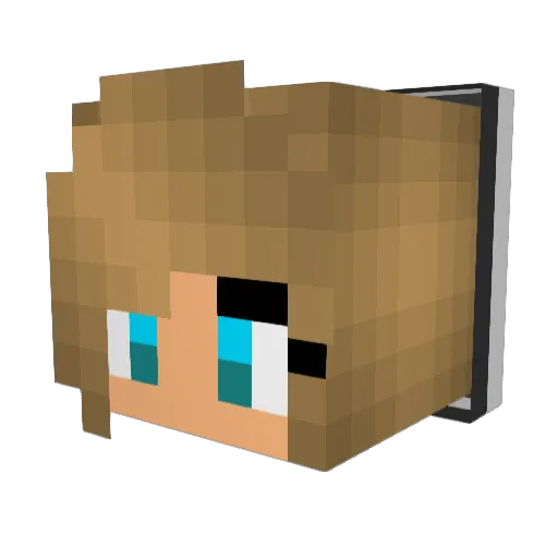 Dr_Who_9 Minecraft avatar head, 3D render