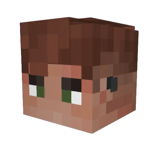 Dr_Wise7901 Minecraft avatar head, 3D render