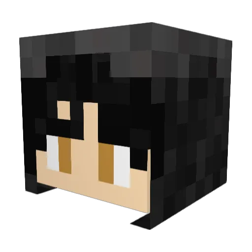 Dr_Zouls Minecraft avatar head, 3D render