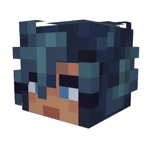Dr__Beans Minecraft avatar head, 3D render