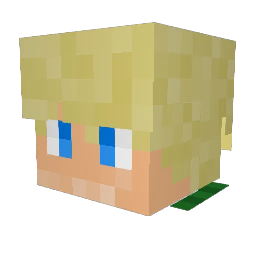 Dr__Whom Minecraft avatar head, 3D render