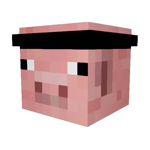 Dr_emily4ever Minecraft avatar head, 3D render