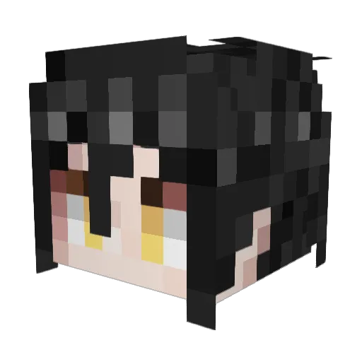 Dr_kingggg Minecraft avatar head, 3D render