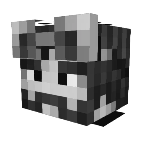 Dr_ksmod Minecraft avatar head, 3D render