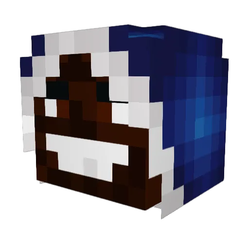Dr_monky Minecraft avatar head, 3D render