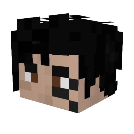 Dr_on Minecraft avatar head, 3D render