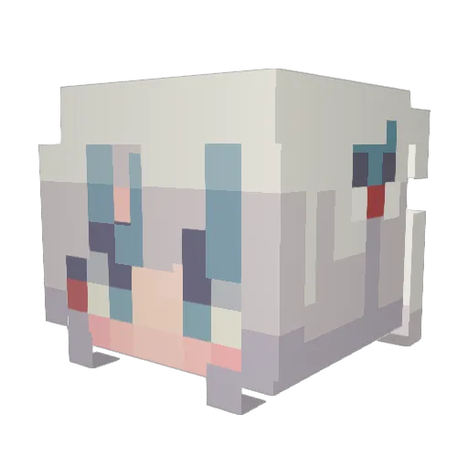 Dr_pepper1945 Minecraft avatar head, 3D render