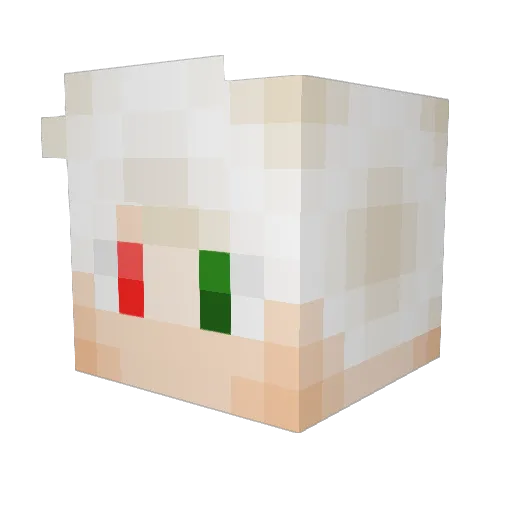 Dr_rian Minecraft avatar head, 3D render