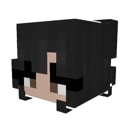 Dr_rug Minecraft avatar head, 3D render