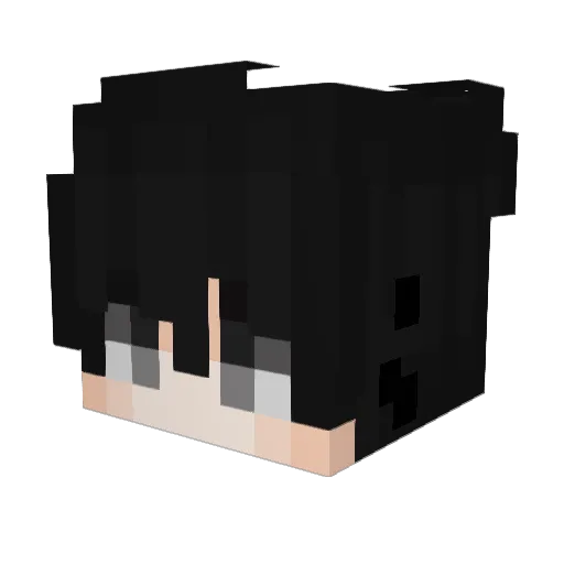 Dr_sasuke Minecraft avatar head, 3D render