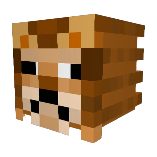 Dr_spark_ Minecraft avatar head, 3D render