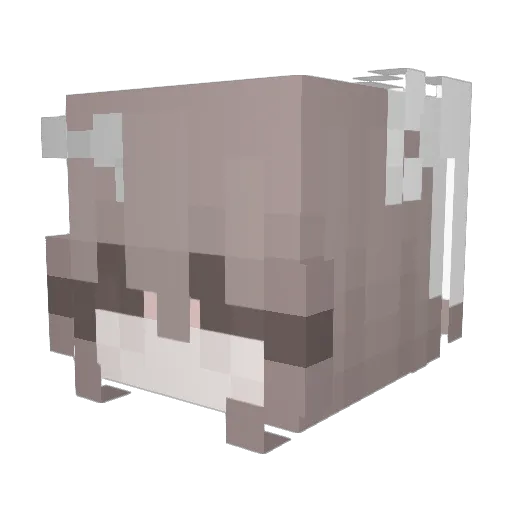 Dr_tu Minecraft avatar head, 3D render