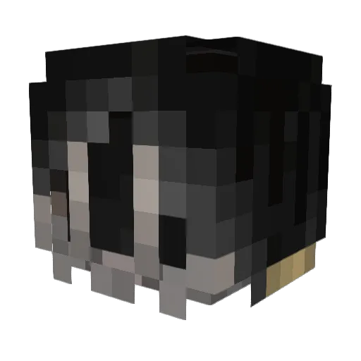 DraSoLa Minecraft avatar head, 3D render