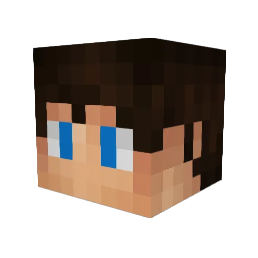 DraToRGamesYTT Minecraft avatar head, 3D render