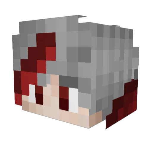 Dra_Dra Minecraft avatar head, 3D render