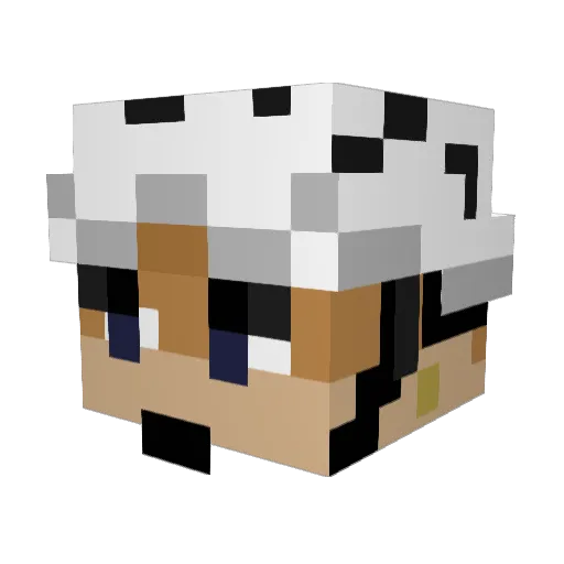 DraaaaaaZ Minecraft avatar head, 3D render