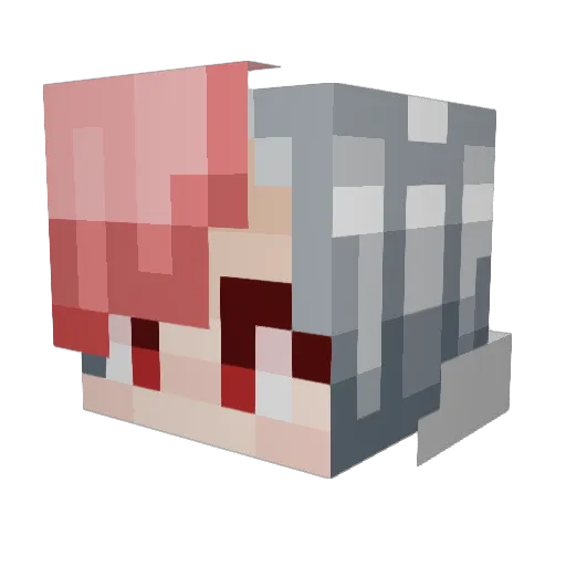Draaagon200 Minecraft avatar head, 3D render