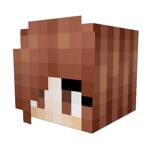 Draayden Minecraft avatar head, 3D render