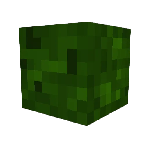 Drache_08 Minecraft avatar head, 3D render