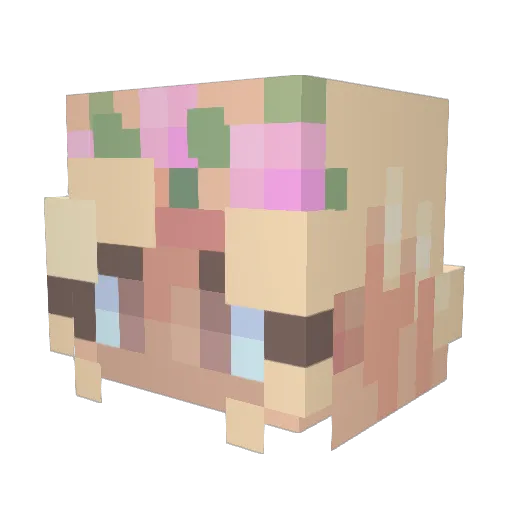 Drachen_Seele Minecraft avatar head, 3D render