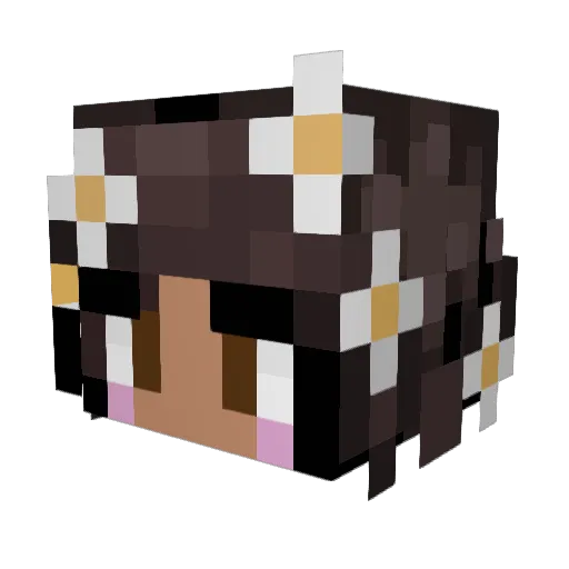Drachen__Lord Minecraft avatar head, 3D render