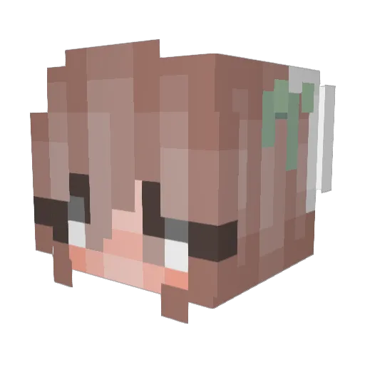 Drachoth Minecraft avatar head, 3D render