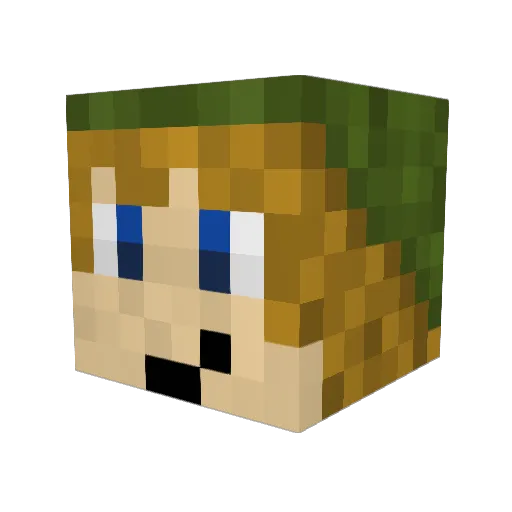 Dracidio Minecraft avatar head, 3D render