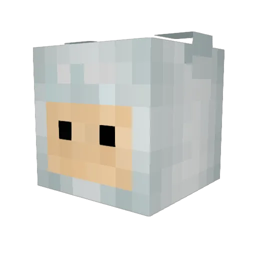Drack_Converge Minecraft avatar head, 3D render