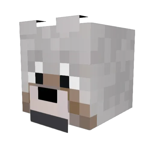 Draco1998 Minecraft avatar head, 3D render