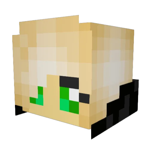 Draco2117 Minecraft avatar head, 3D render