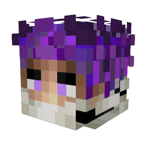 Draco7557 Minecraft avatar head, 3D render